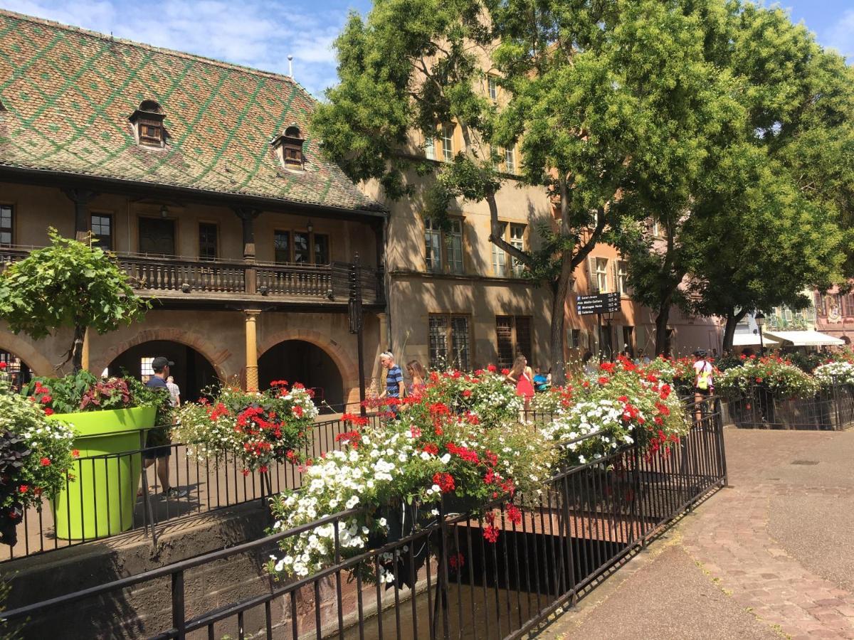 Centre Historique Colmar La Collegiale Resort Luaran gambar